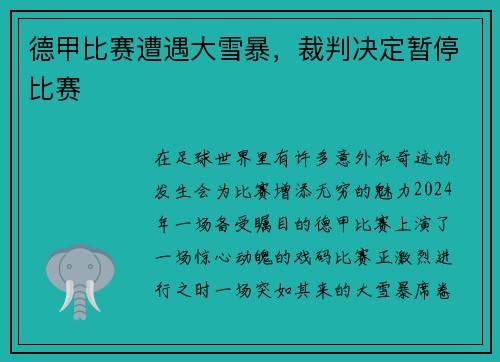 德甲比赛遭遇大雪暴，裁判决定暂停比赛