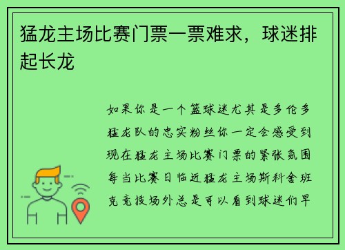 猛龙主场比赛门票一票难求，球迷排起长龙