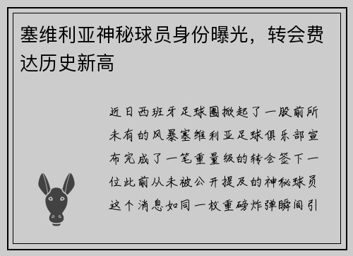 塞维利亚神秘球员身份曝光，转会费达历史新高