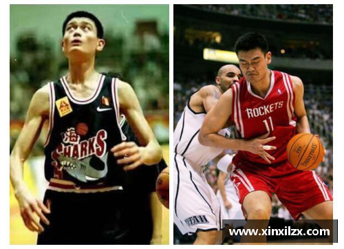 NBA球员的营养秘籍：健康饮食与身体巅峰