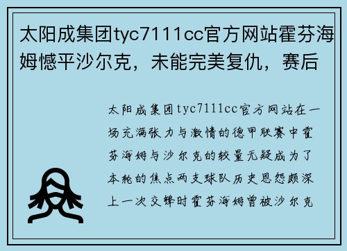 太阳成集团tyc7111cc官方网站霍芬海姆憾平沙尔克，未能完美复仇，赛后双方难解胜负 - 副本
