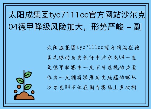 太阳成集团tyc7111cc官方网站沙尔克04德甲降级风险加大，形势严峻 - 副本